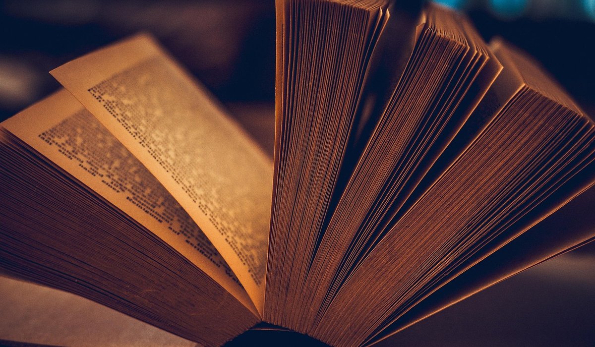 Finding Community Through Local Book Swaps