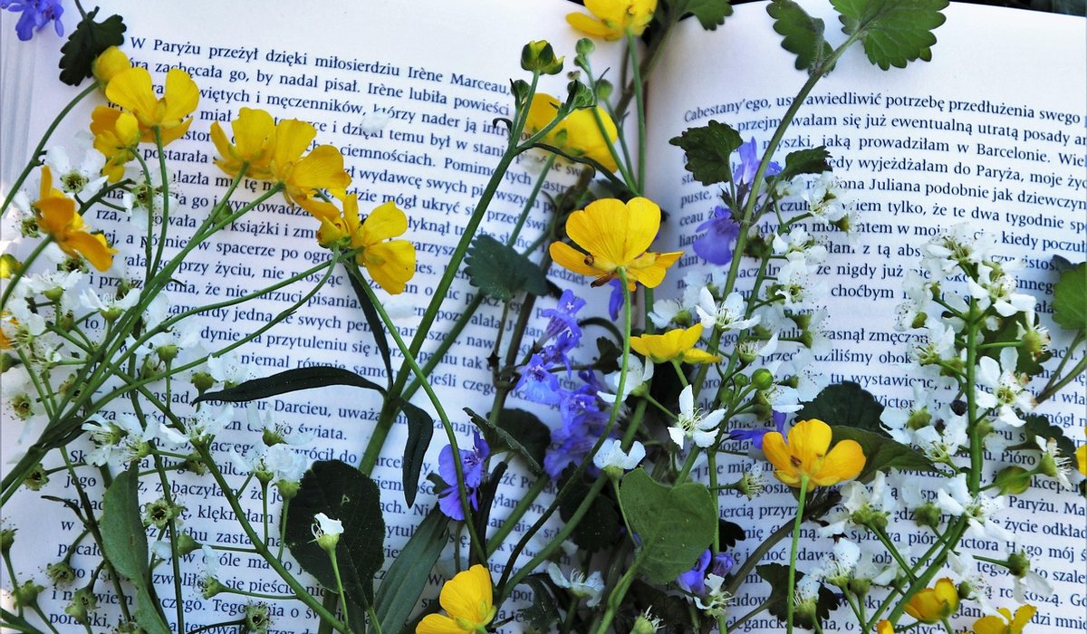 A Beginner's Guide to Literary Non-Fiction